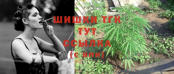 ГАЛЛЮЦИНОГЕННЫЕ ГРИБЫ Алексин