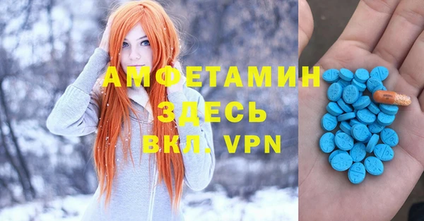 ГАЛЛЮЦИНОГЕННЫЕ ГРИБЫ Алексин