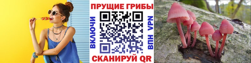 Галлюциногенные грибы прущие грибы купить закладку Ермолино